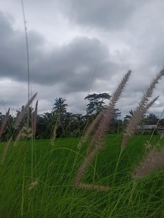 Batu Agung Laplapan Hotel Ubud   Ubud (Bali)
