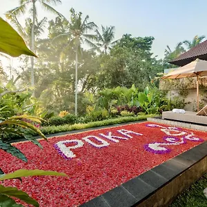 4* Hotel Poka Hidden Paradise & By Eps